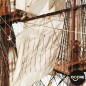 BARCO MONTAÑES DE OCCRE