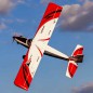 AVION Turbo Timber SWS 2.0m ARF EFLITE