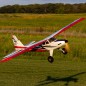 AVION Turbo Timber SWS 2.0m ARF EFLITE