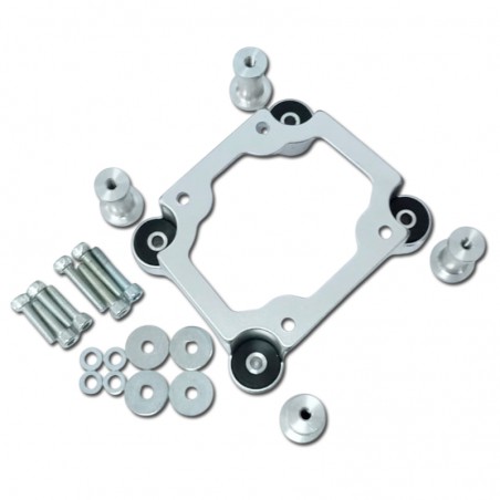 DLE65 - BASE MOTOR OPCIONAL CON SILENTBLOCK
