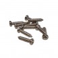 TORNILLO ROSCA CHAPA M2.5X10MM (10UDS)