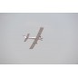 AVION TIGER 3 46 PHOENIX MODELS (1600mm) AVION TIGER 3 46 PHOENIX MODELS (1600mm)