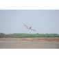 AVION TIGER 3 46 PHOENIX MODELS (1600mm) AVION TIGER 3 46 PHOENIX MODELS (1600mm)