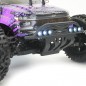 COCHE CARNAGE BRUSHLESS 2.0 FTX 1/10