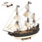 BARCO CISNE NEGRO OCCRE