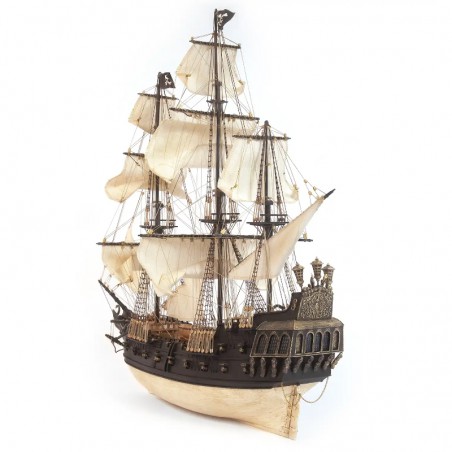 BARCO CISNE NEGRO OCCRE