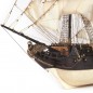 BARCO CISNE NEGRO OCCRE