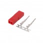 CONECTOR HEMBRA ORO (BEC) (10) V.U.*