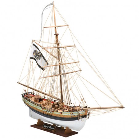 BARCO KING OF PRUSIA COREL