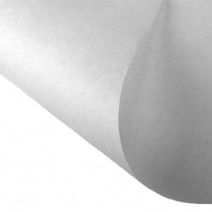 PAPEL ENTELADO JAPONES BLANCO 1000X750mm 23g/qm