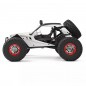 COCHE ELECTRICO RTR 1/12 STORM 12429 WLTOYS