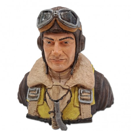PILOTO 1/3 ROBIN J-STICKER DESIGN