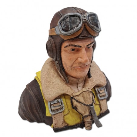 PILOTO 1/3 ROBIN J-STICKER DESIGN