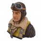 PILOTO 1/3 ROBIN J-STICKER DESIGN