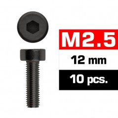 TORNILLO ALLEN CILINDRICO M2.5X12mm ULTIMATE (10 unidades)