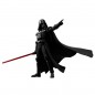 FIGURA Champion Class Star Wars: Darth Vader FIGURA Champion Class Star Wars: Darth Vader