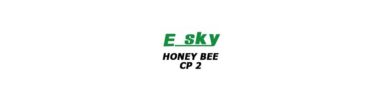 REP. HONEY BEE CP