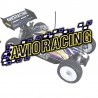 AVIO-RACING